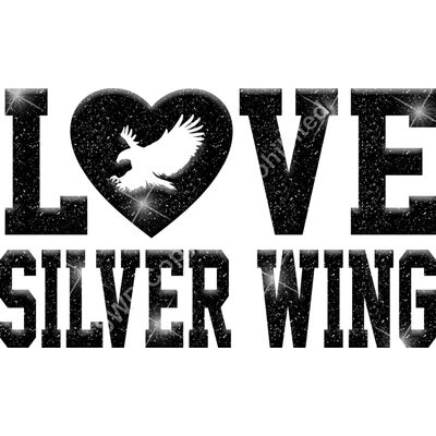 GLT51 BLACK GLITTER Thumbnail